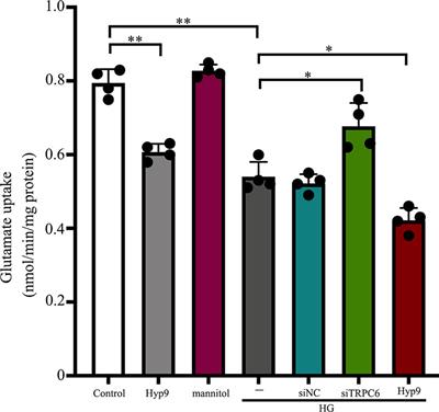 High Glucose-Induced TRPC6 Channel Activation Decreases Glutamate Uptake in Rat Retinal Müller Cells